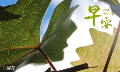 团队早安语录正能量语句