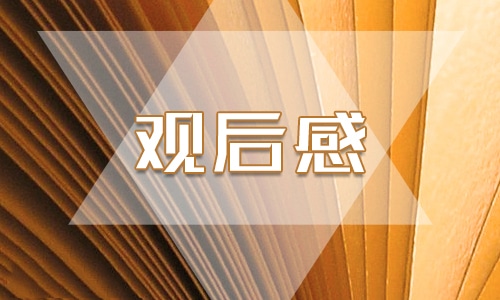 消防安全教育视频观后感
