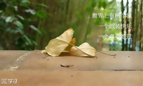 2024大学毕业心情语录