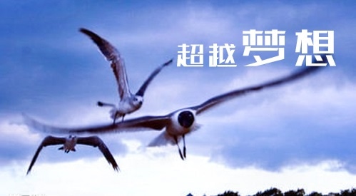 立夏朋友圈夏至语录励志文案