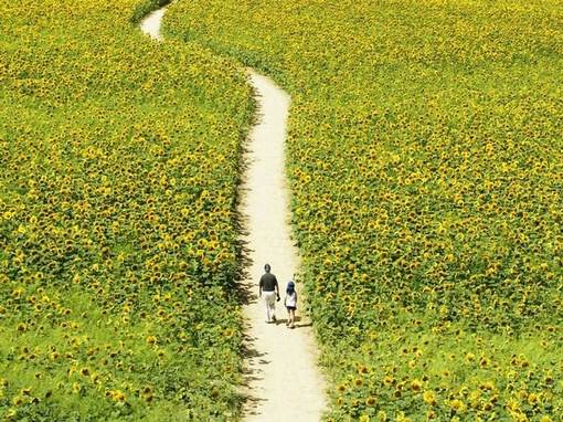 半生已度过，余生要洒脱