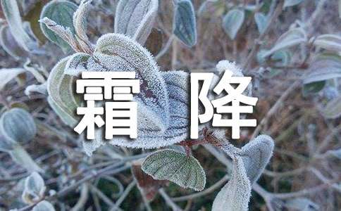 描写霜降的古诗