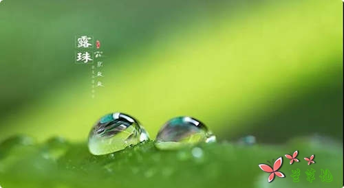 人生路上,最美的距离