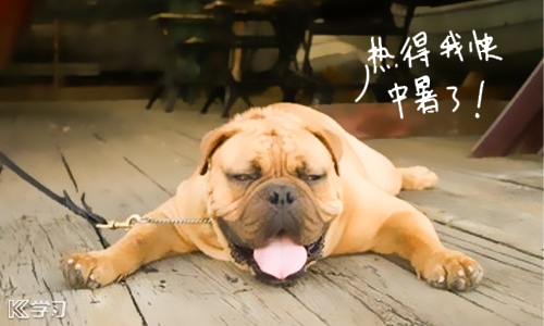 2024夏天到了心情语录
