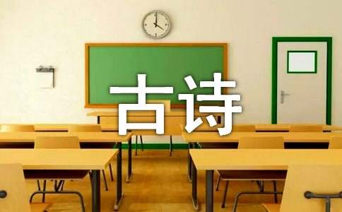 《九日即事雪中见菊》古诗赏析