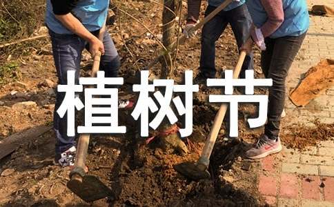 植树节古诗